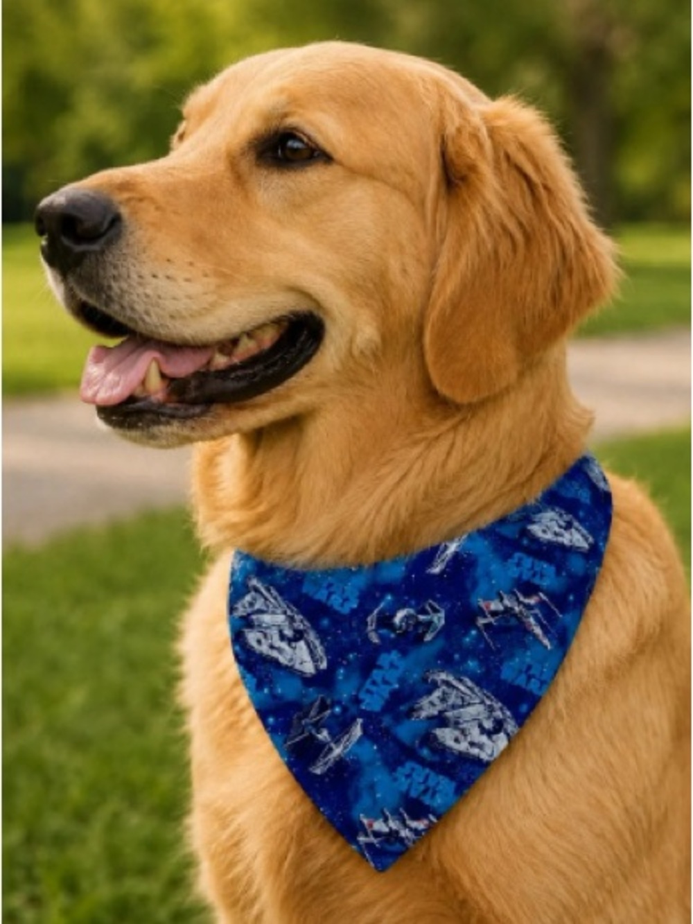 Blue Space Print Dog Bandana - Unbranded